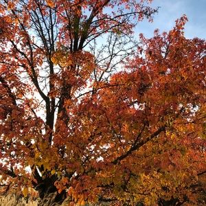 Meet your Posher, Jeanette